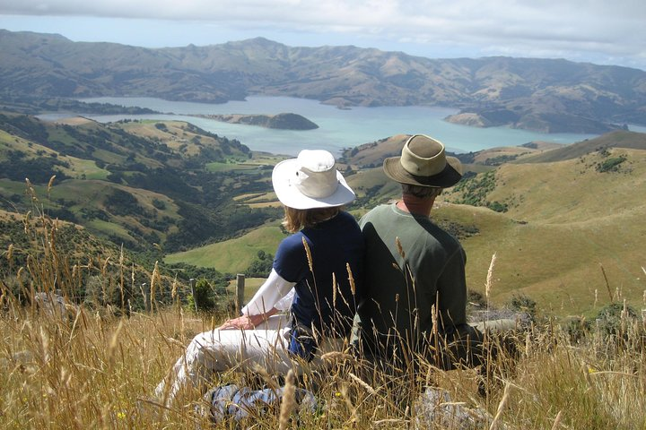 Journey to Akaroa with Harbour Cruise - Luxury, Small Group Tour - Photo 1 of 6